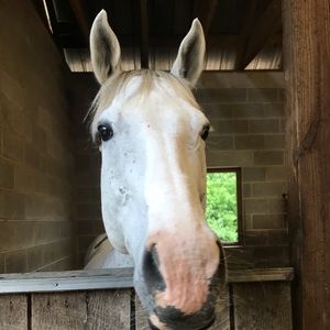 Meet your Posher, Jamie